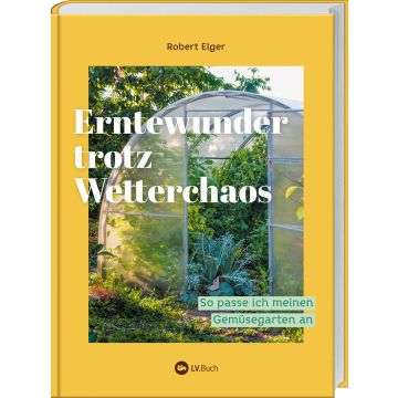 Erntewunder trotz Wetterchaos