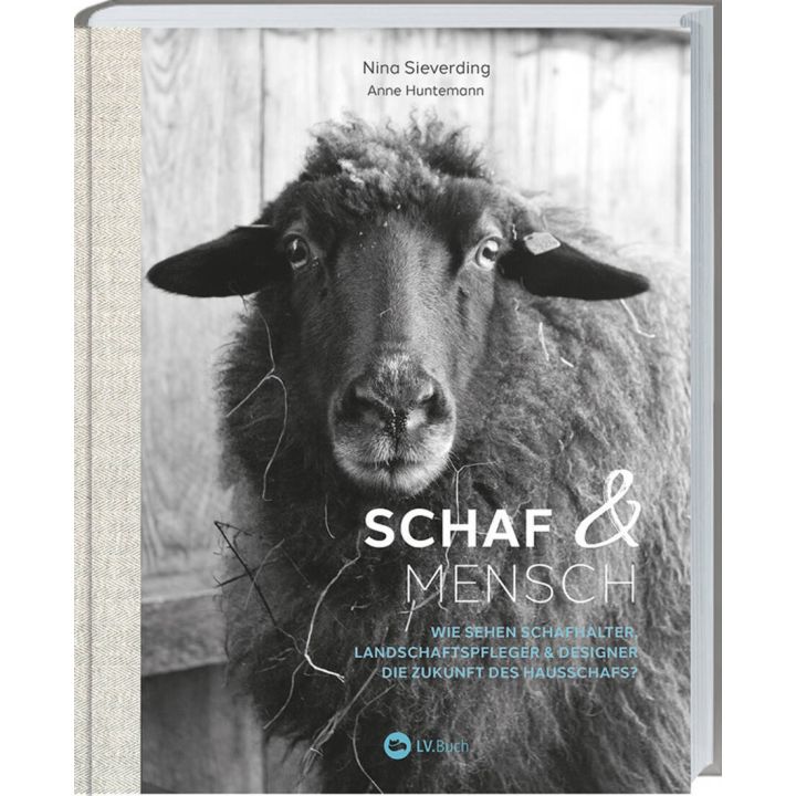 Schaf und Mensch