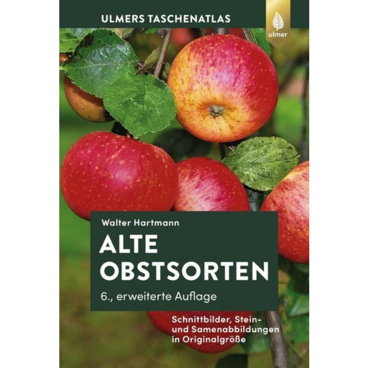 Alte Obstsorten